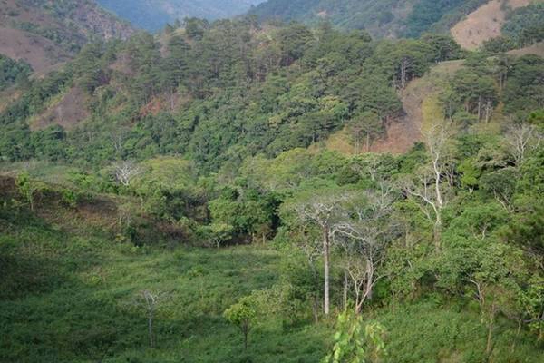 Núi rừng hùng vĩ của cung đường Tà Năng - Phan Dũng