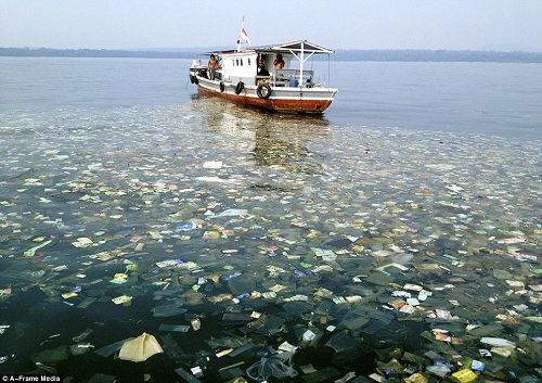 Rác phủ kín mặt nước vùng biển ngoài khơi đảo Java, Indonesia. Ảnh: A-Fram Media.