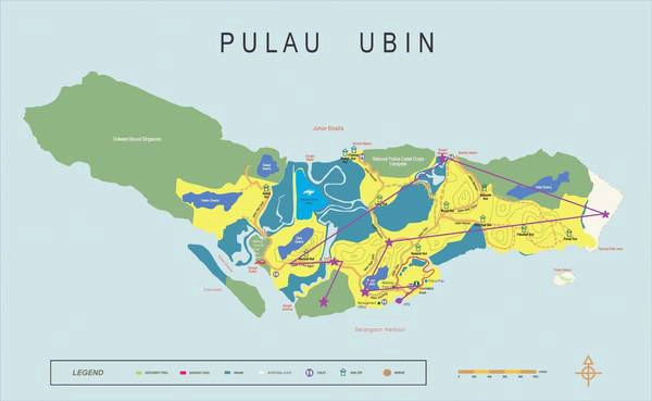 Ảnh: comesingapore.com