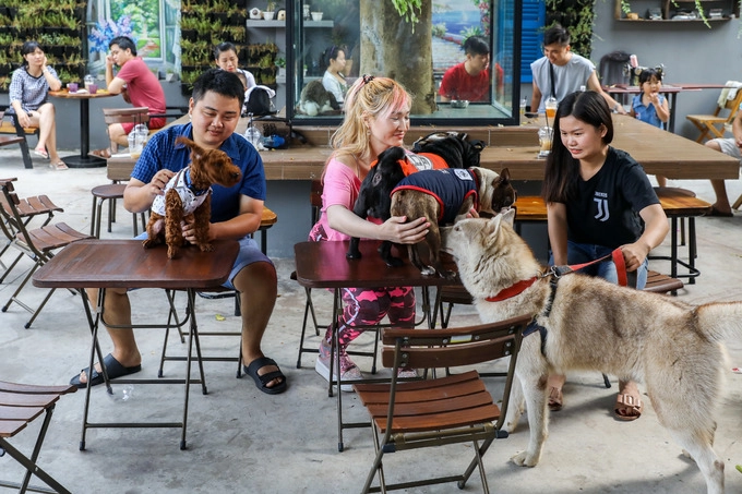 Trong quán nuôi nhiều loài như chó, mèo, thỏ, cá, rồng Nam Mỹ... Du khách cũng thoải mái mang vật nuôi của mình đến giao lưu với mọi người.  "Ban đầu tôi nuôi chó cảnh và nhân giống để kinh doanh. Sau này với mong muốn có địa điểm để anh em cùng đam mê thú cưng giao lưu nên tôi mở quán cà phê", anh Hòa chia sẻ.