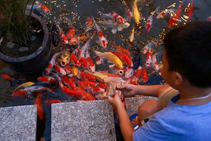 Ngoài không gian hồ nước, quán còn có những khu khác như sân thượng, phòng lạnh, phòng hút thuốc... đều có thể ngắm hồ cá. Ngoài không gian hồ nước, quán còn có những khu khác như sân thượng, phòng lạnh, phòng hút thuốc... đều có thể ngắm hồ cá.