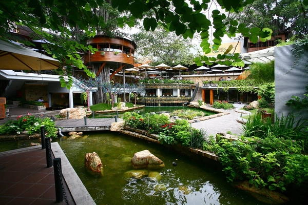Lần đầu bước vào Du Miên Garden Café (đường Phan Văn Trị, quận Gò Vấp), nhiều người bất ngờ vì trong phố lại có một quán cà phê thoáng rộng, có 4 cây cổ thụ cỡ vài chục năm tuổi, đang sống chung hài hòa cùng kiến trúc mới. Lần đầu bước vào Du Miên Garden Café (đường Phan Văn Trị, quận Gò Vấp), nhiều người bất ngờ vì trong phố lại có một quán cà phê thoáng rộng, có 4 cây cổ thụ cỡ vài chục năm tuổi, đang sống chung hài hòa cùng kiến trúc mới.