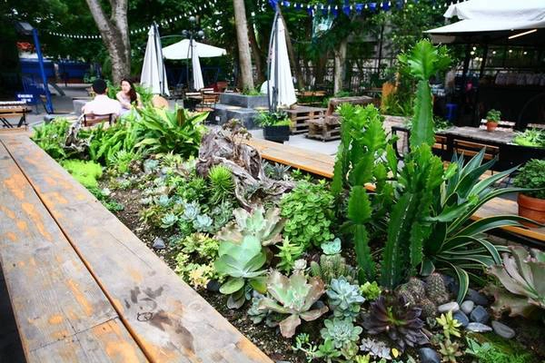 Bên ngoài cũng có những mảng xanh nho nhỏ trồng trong những thùng gỗ với nhiều loại cây. Bên ngoài cũng có những mảng xanh nho nhỏ trồng trong những thùng gỗ với nhiều loại cây.
