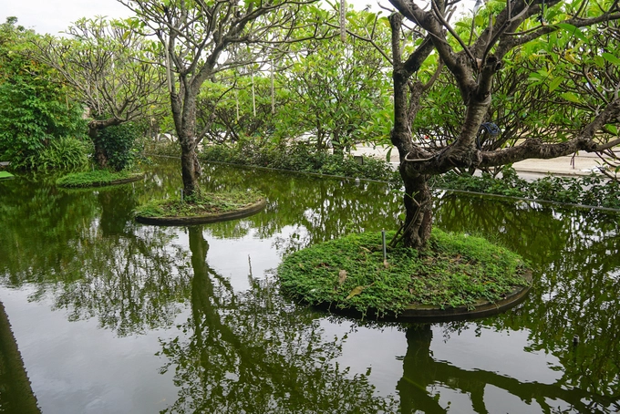 Những bức tượng có hình thù độc đáo soi bóng xuống hồ phẳng lặng như điểm nhấn cho quán cà phê. Những bức tượng có hình thù độc đáo soi bóng xuống hồ phẳng lặng như điểm nhấn cho quán cà phê.