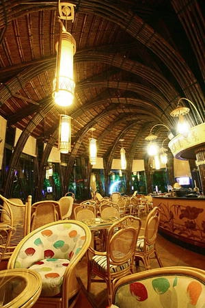 Gọi là bar, nhưng cách bài trí và công năng sử dụng cũng gần như quán cà phê, khá nhẹ nhàng.