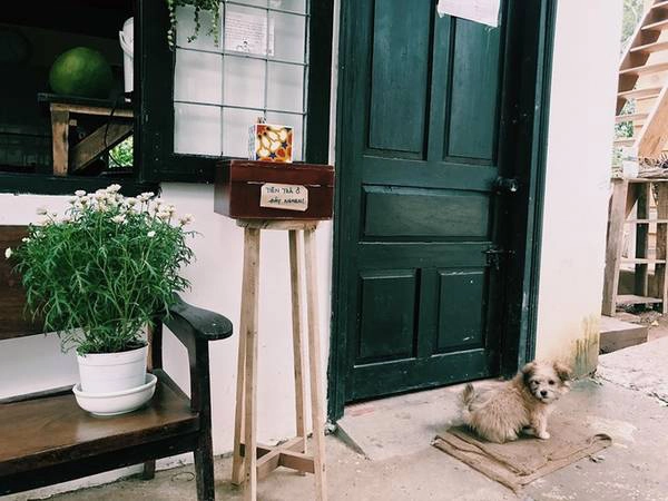 Dù quán không có biển hiệu hay chỉ dẫn, nhưng nhiều người vẫn cất công tìm đến không gian trong lành, yên tĩnh và những nụ cười thân thiện, mến khách của các bạn trẻ câm điếc. Chia sẻ về thùng gỗ đựng tiền công khai, một thành viên của dự án cho biết quán không hề lo bị mất trộm, bởi "dự án này giúp các bạn điếc - khiếm thính, thì không có ai lỡ lừa chúng mình đâu". Dù quán không có biển hiệu hay chỉ dẫn, nhưng nhiều người vẫn cất công tìm đến không gian trong lành, yên tĩnh và những nụ cười thân thiện, mến khách của các bạn trẻ câm điếc. Chia sẻ về thùng gỗ đựng tiền công khai, một thành viên của dự án cho biết quán không hề lo bị mất trộm, bởi "dự án này giúp các bạn điếc - khiếm thính, thì không có ai lỡ lừa chúng mình đâu".