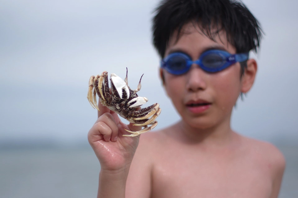 Những năm gần đây, Hòn Gội được nhiều du khách biết đến. Đắm mình trong khung cảnh tĩnh lặng cùng những luồng gió mát mùa hè là một trải nghiệm không thể quên với ai từng đặt chân tới.