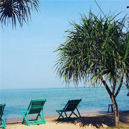 Những chiếc ghế đặt dọc bờ cát để trông thẳng ra bãi biển xanh rì. (Ảnh: Instagram) Những chiếc ghế đặt dọc bờ cát để trông thẳng ra bãi biển xanh rì. (Ảnh: Instagram)