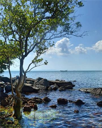 Koh Tonsay có những góc nhỏ thanh tịnh và hoang sơ như thế đấy. (Ảnh: Instagram) Koh Tonsay có những góc nhỏ thanh tịnh và hoang sơ như thế đấy. (Ảnh: Instagram)