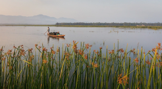 Đầm Trà Ổ còn gọi là đầm Châu Trúc hay Bàu Bàng, một đầm nước lợ tự nhiên nằm ở phía đông bắc huyện Phù Mỹ, cách trung tâm Quy Nhơn khoảng 70 km. Đầm thích hợp cho du khách yêu thích thiên nhiên và chụp ảnh phong cảnh, con người thôn quê.