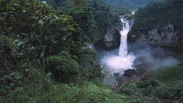 Một ngọn thác trong rừng Amazon thuộc địa phận Ecuador - Ảnh: wp Một ngọn thác trong rừng Amazon thuộc địa phận Ecuador - Ảnh: wp