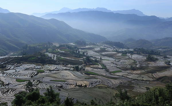 Toàn cảnh ruộng bậc thang xã Tả Phìn (Sa Pa).