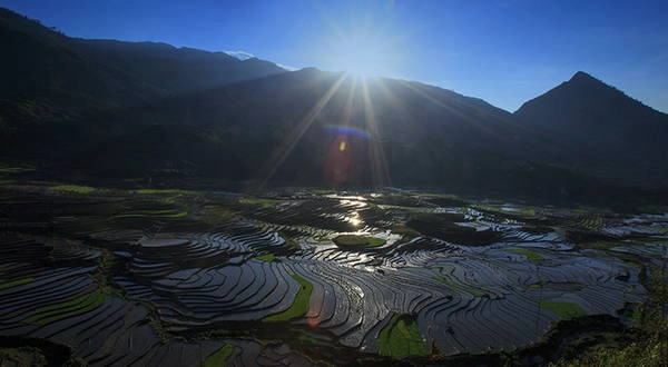 Thửa ruộng bậc thang xã Tả Van long lanh như những viên ngọc.