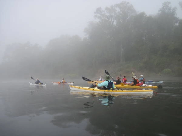Chèo thuyền khám phá hệ sinh thái ở Apalachicola - Ảnh:visittallahassee
