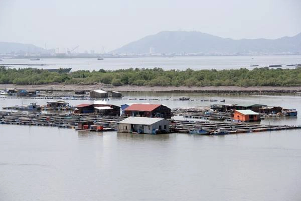 Xã đảo gồm một đảo chính nằm men theo triền của núi Nứa, đoạn cuối của dãy núi Phước Hòa đâm ra biển và đảo nhỏ là đảo Gò Găng. Từ Sài Gòn đến Long Sơn có hai hướng đi: Ra khỏi thành phố đi theo quốc lộ 51 hoặc qua hầm Thủ Thiêm theo hướng Cát Lái, qua phà Cát Lái theo bảng hướng dẫn chạy đến thị xã Bà Rịa. Long Sơn cách thị xã Bà Rịa khoảng chừng 35 km. Hướng 1 hay 2 cũng sẽ qua trạm thu phí trên quốc lộ 51 một đoạn ngắn vài trăm mét sau đó có một ngã ba rẽ phải đến đảo Long Sơn.