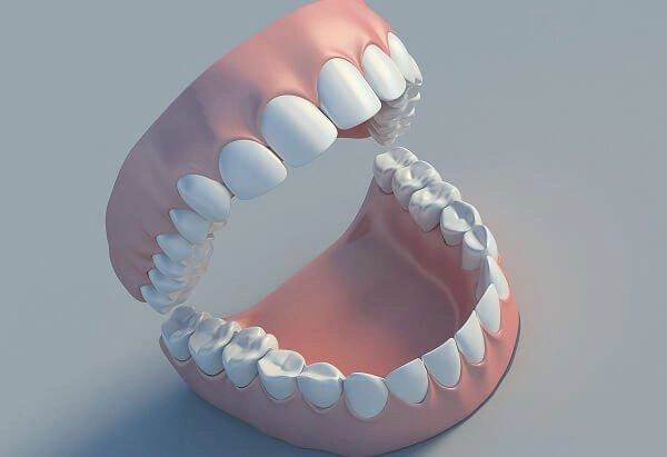 răng người trưởng thành