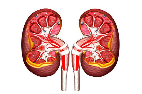 Thận mạn tính đang là căn bệnh phổ biến hiện nay