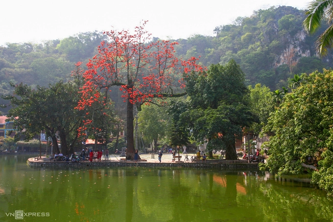 Những cây hoa gạo ở chùa Thầy (xã Sài Sơn, huyện Quốc Oai, Hà Nội) lại nở hoa, tô điểm cho không gian ngôi chùa cổ kính thêm đẹp hơn.