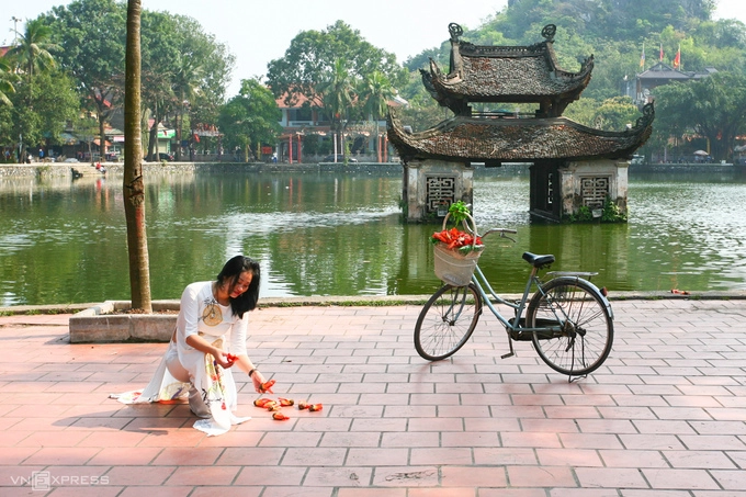 Mùa hoa gạo nở cũng là lúc du khách và các tay máy đến chụp ảnh. Ngoài chùa Thầy, cây hoa gạo được trồng nhiều ở công viên, hè phố, làng quê và những công trình tâm linh như đền, chùa tại các địa phương trên cả nước như Hà Nội, Sơn La, Hà Giang, Quảng Ngãi, Huế...