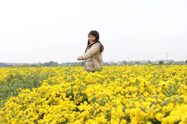 Các bạn trẻ tham quan và vui chơi trên cánh đồng hoa cúc - Ảnh: N.P.Huệ Các bạn trẻ tham quan và vui chơi trên cánh đồng hoa cúc - Ảnh: N.P.Huệ