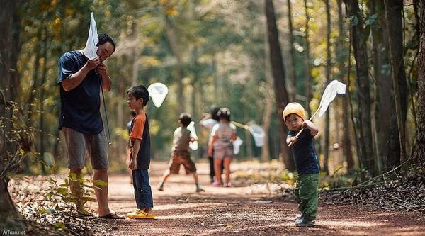 Rừng Nam Cát Tiên là điểm du lịch khám phá được nhiều người yêu thích. Thiên nhiên rừng Nam Cát Tiên cuốn hút bởi có các loài động, thực vật đa dạng, quý hiếm. Ảnh: ArTuan