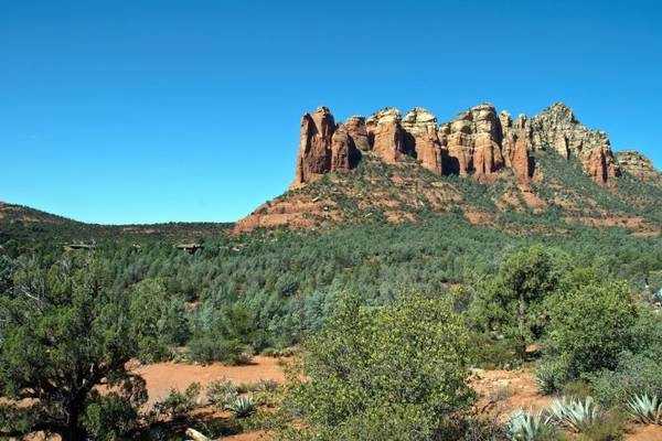 Rừng Coconino ở Arizona - Ảnh: fotolia