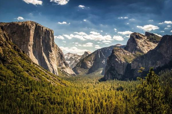 Hùng vĩ cánh rừngYosemite - Ảnh: fotolia