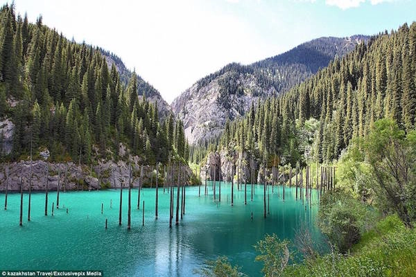 Hiếm nơi nào trên thế giới có hồ nước độc đáo như ở Kazakhstan. Hồ Kaindy, nằm trong dãy núi Tian Shan, cách thành phố Almaty 130 km, được hình thành từ một vụ sạt lở sau trận động đất kinh hoàng năm 1911. Nơi đây nổi tiếng với hàng loạt cây vân sam mọc ngược dưới lòng hồ, tạo thành khu rừng chìm có một không hai.