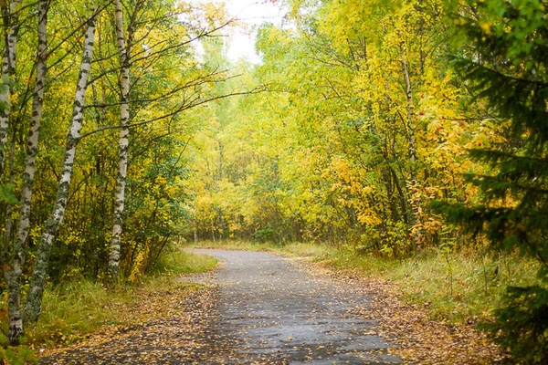 Ngoài cảnh sắc, khu vực Lapland còn là điểm đến hấp dẫn với nhiều người đam mê săn bắn vì nơi đây có những công viên tự nhiên và khu vực hoang dã lớn.