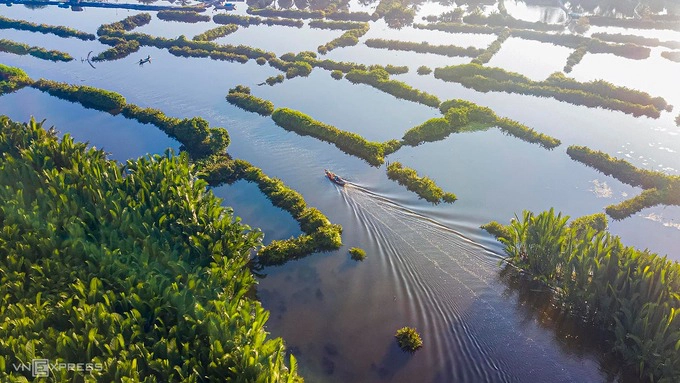 Do địa hình ngập nước, phương tiện chính để di chuyển tại đây là các loại ghe, thuyền. Tuy chưa được khai thác du lịch, rừng dừa nước Tịnh Khê khá nổi tiếng ở Quảng Ngãi bởi sự hoang sơ và thơ mộng. Để vào rừng dừa, du khách đi theo đường biển Mỹ Khê và hỏi thăm người dân. Bạn có thể thuê người chèo thuyền vào giữa rừng để chụp hình và tận hưởng trọn vẹn bầu không khí trong lành nơi đây.