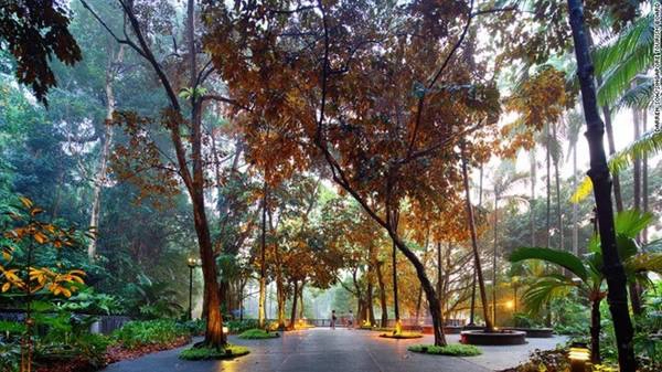 Vườn thực vật Singapore là điểm tham quan đầu tiên ở Singapore được UNESCO công nhận là Di sản thế giới, và là khu vườn đầu tiên ở châu Á nhận được danh hiệu này. Vườn thực vật Singapore là điểm tham quan đầu tiên ở Singapore được UNESCO công nhận là Di sản thế giới, và là khu vườn đầu tiên ở châu Á nhận được danh hiệu này.