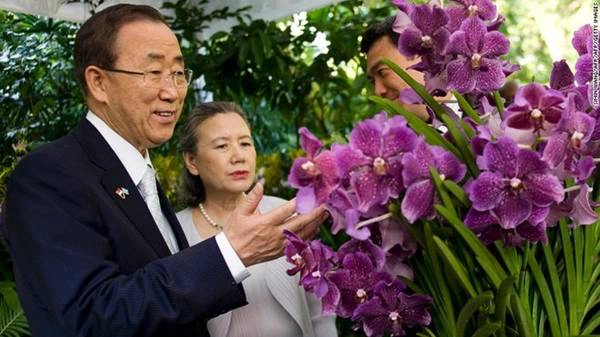 Tổng thư ký Liên Hợp Quốc, ông Ban Ki-moon và vợ, bà Yoo Soon-taek, trước loài phong lan được đặt theo tên họ. Tổng thư ký Liên Hợp Quốc, ông Ban Ki-moon và vợ, bà Yoo Soon-taek, trước loài phong lan được đặt theo tên họ.