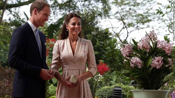 Hoàng tử William và Công nương Catherine đã tới thăm Vườn thực vật vào năm 2012 và được chào đón với một loại phong lan được đặt theo tên họ. Hoàng tử William và Công nương Catherine đã tới thăm Vườn thực vật vào năm 2012 và được chào đón với một loại phong lan được đặt theo tên họ.