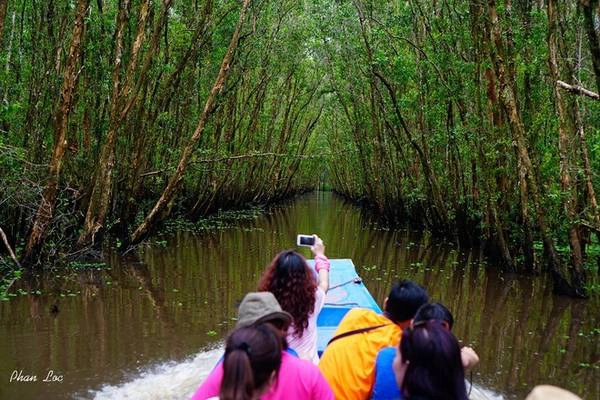 Thời điểm tháng 10, 11 trong năm là lúc Trà Sư khoác lên mình chiếc áo đẹp nhất. Ngồi trên đò máy để vào trong khu rừng tràm, du khách sẽ ngỡ ngàng trước vẻ đẹp của khu rừng. Đò máy rẽ nước chạy chậm rãi vào bên trong. Những cây tràm đứng ngay hàng thẳng lối như đang chào đón du khách. Sau khi vào sâu hơn, chúng tôi chuyển qua xuồng chèo tay để khám phá khu rừng.