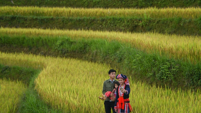 Thời điểm cuối tháng 9 hàng năm sẽ diễn ra sự kiện “Qua miền di sản ruộng bậc thang Hoàng Su Phì”, tổ chức tại thị trấn Vinh Quang, huyện Hoàng Su Phì với nhiều hoạt động gắn liền với bản sắc văn hóa nhằm quảng bá tiềm năng du lịch của địa phương.