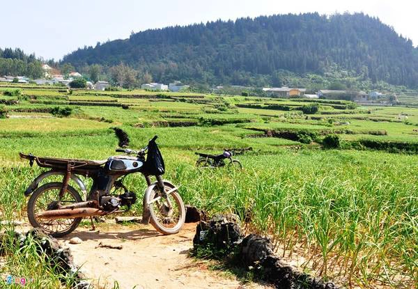 Ông Vũ cho rằng, huyện đảo Lý Sơn, đặc biệt ở đảo Bé có nhiều di tích, hệ thống hang động được hình thành từ nham thạch núi lửa biển, những thửa ruộng bậc thang được trồng hành tỏi, bắp, đậu, những rặng dừa, bàng phễu... còn giữ vẻ đẹp hoang sơ hiếm có. Những thửa ruộng bậc thang có bờ đá trầm tích núi lửa ở Bé Lý Sơn có sự tương đồng với đảo Jeju (Hàn Quốc).