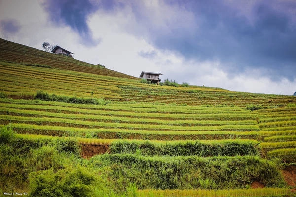 Ruong bac thang Mu Cang Chai tho mong mua lua chin hinh anh 10 Những ngôi nhà nhỏ ở lưng chừng núi là hình ảnh quen thuộc trên những thửa ruộng bậc thang của Mù Cang Chải.
