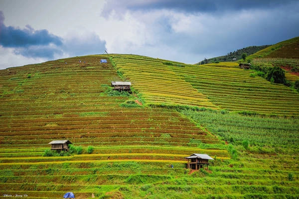 Nhìn bao quát khung cảnh từ trên cao, Mù Cang Chải đẹp như một bức tranh thủy mặc. Nơi đây có độ cao trung bình trên 1.000 m so với mực nước biển, và là thành quả hội tụ các giá trị văn hóa truyền thống của đồng bào H'mông ở vùng cao.