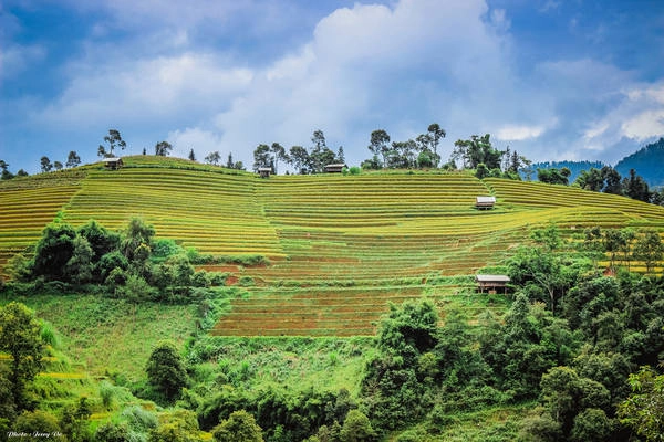 Đường đi lên Mù Cang Chải khá xa để đến được đây du khách phải vượt qua những quãng đường đèo nguy hiểm. Nhưng khi được chiêm ngưỡng cảnh sắc, bạn sẽ mọi sự mệt nhọc đều xứng đáng.