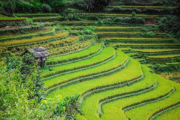 Vùng đất Tây Bắc luôn mang trong mình một vẻ đẹp quyến rũ khó cưỡng lại.