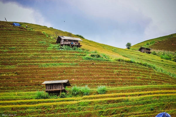 Nơi đây sở hữu những cung đường mà chạy xe qua lại bao nhiêu lần, du khách vẫn sẽ không thể nào thôi ngỡ ngàng trước cảnh sắc đẹp mơ màng.