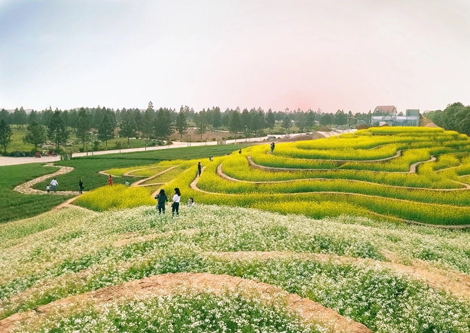 Hiện du khách không mất phí vào khu sinh thái nhưng vào vườn chụp ảnh, phí là 20.000 đồng. Theo ban quản lý, Sau ngày 6/4/18, giá vé vào khu sinh thái là 20.000 đồng một người lớn, 10.000 đồng một trẻ em (bao gồm phí chụp ảnh ở các khu).