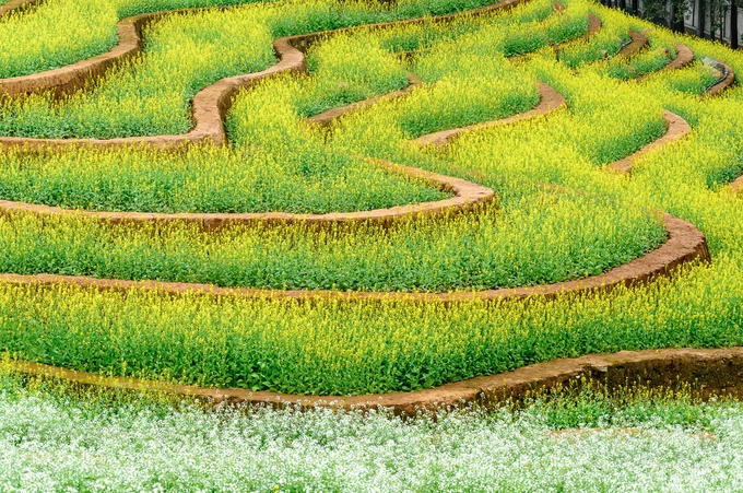Để đến đây, bạn có thể đi tuyến xe buýt 20 từ Cầu Giấy xuống bến xe Phùng rồi đi bộ hoặc bắt xe ôm (10.000-15.000 đồng) vào tận cổng.