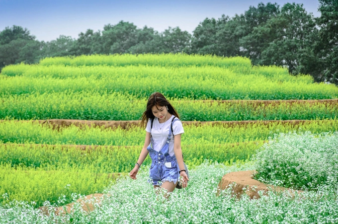 Nếu đi xe riêng, bạn chạy dọc theo quốc lộ 32 đến trung tâm thị trấn Phùng, rẽ phải vào khu đô thị sinh thái Đan Phượng chưa đầy một km sẽ thấy khu vườn này nằm ngay bên tay trái.