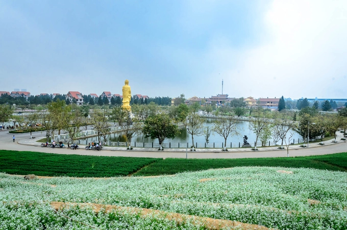 Ngoài chụp ảnh, du khách đến đây có thể ghé thăm chùa Đại Từ Ân, rộng 2 ha, hiện là trường Trung cấp Phật học Hà Nội. Các dịch vụ khác có khu trượt cỏ, nhà hàng, khu văn hóa Chăm (đang hoàn thiện), bể bơi.