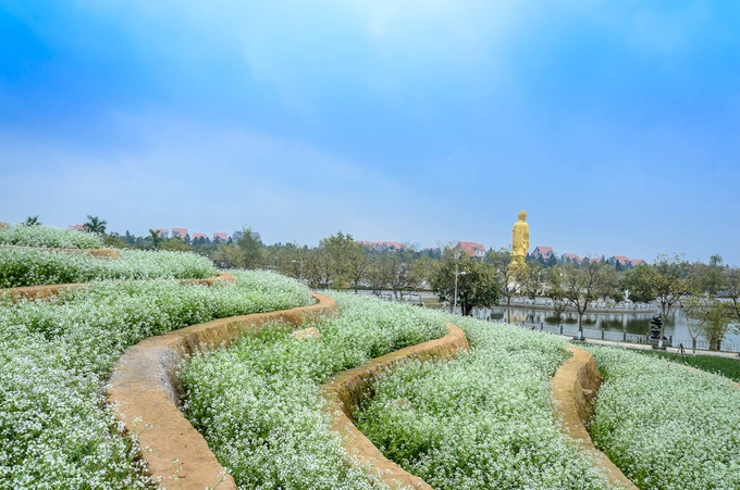 Hiện khu sinh thái cũng chuẩn bị trồng một đồi chè để biến đây thành phim trường lớn nhất phía Tây Hà Nội.
