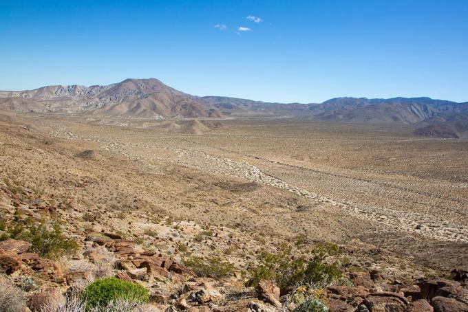 Một góc sa mạc Anza-Borrego ở bang California. Đầu năm 2019, nơi này đã xảy ra hiện tượng "siêu nở hoa" bởi thời tiết ẩm ướt, khi hàng trăm nghìn bông hoa bung nở phủ kín sa mạc, các sườn đồi và hai bên đường cao tốc. Năm nay có thể sẽ không xuất hiện cảnh "siêu nở hoa" nhưng các loài hoa tại đây vẫn đang khoe sắc, tạo thành các thảm hoa nhỏ. Ảnh: Beth Coller.