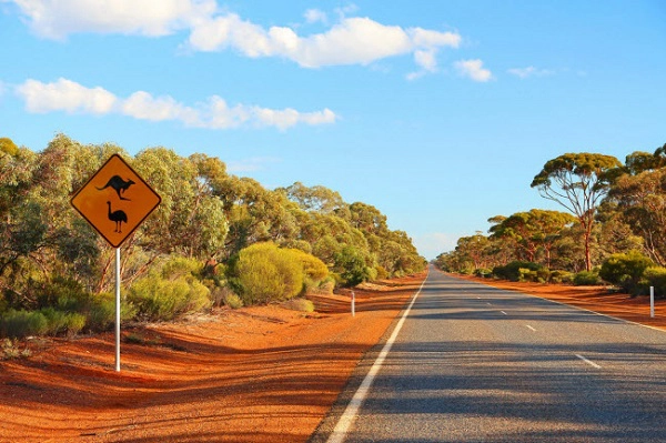 Outback, Australia: Vùng đất khô cằn này thu hút rất đông du khách, nhờ thiên nhiên hoang dã đa dạng.