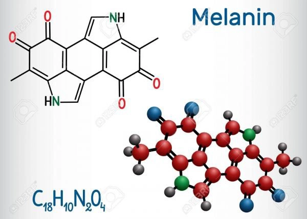 Melanin
