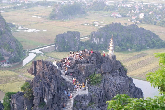 Hang Múa cũng là điểm mà bạn có thể ngắm trọn vẹn Ninh Bình từ trên cao. Giá vé vào cổng 100.000 đồng/người. Bạn phải leo hơn 500 bậc thang để lên đến đỉnh. Từ dưới lên đến ngã ba, rẽ phải là bảo tháp, nơi hút du khách thập phương đến chụp ảnh check-in nên nơi này luôn đông đúc. Bạn phải xếp hàng đợi đến lượt chụp hình. Nếu ngại chen chúc thì có thể để dành lúc sắp về, khi mọi người đã xuống núi bớt thì leo lên cũng không muộn.